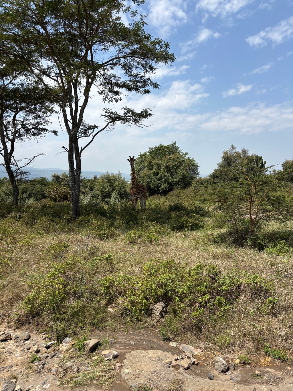 November Educational Session!