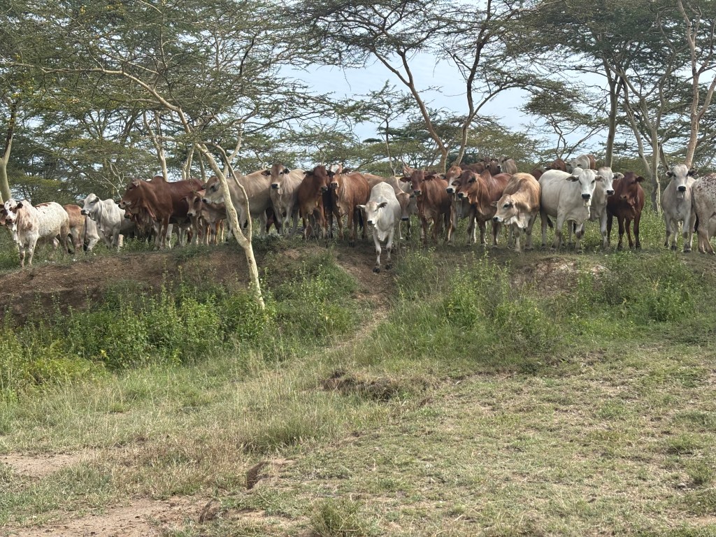 December Educational Session!